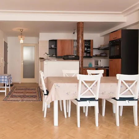 Lecomte - The Shoreline Escape 155 公寓 奥斯滕德